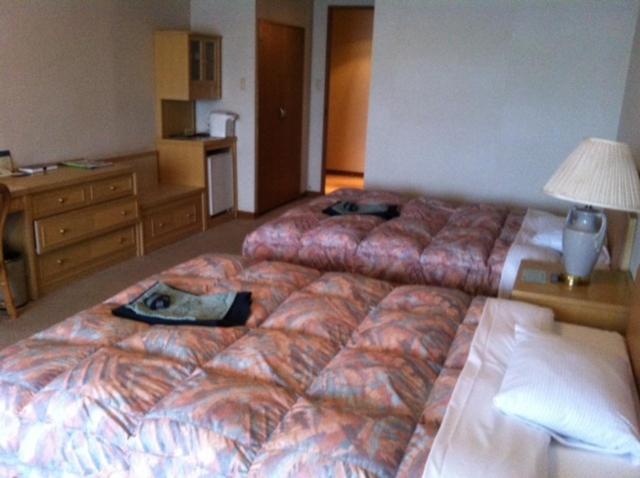 Hotel Hakone Powell Bilik gambar